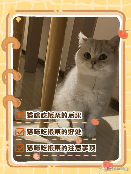 猫咪吃了板栗会怎么样