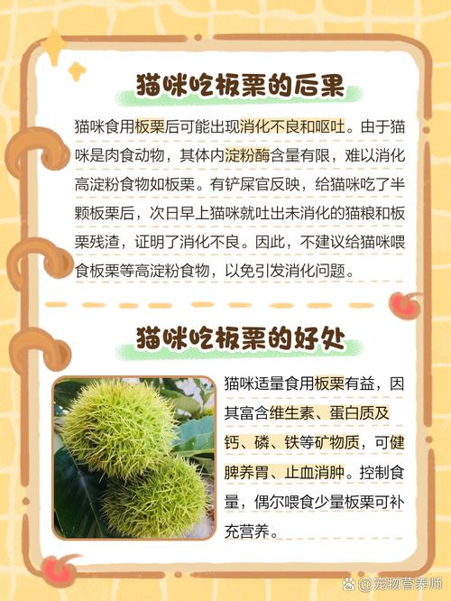 猫可以吃煮熟的板栗吗