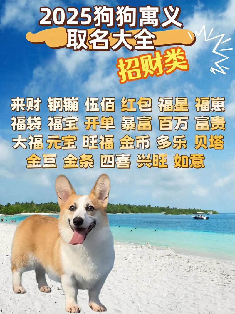 狗狗财运旺的名字大全