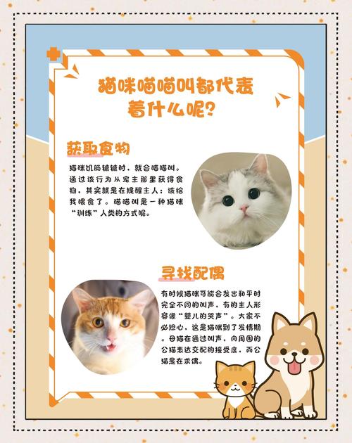 猫表达爱意的叫声是什么样的?