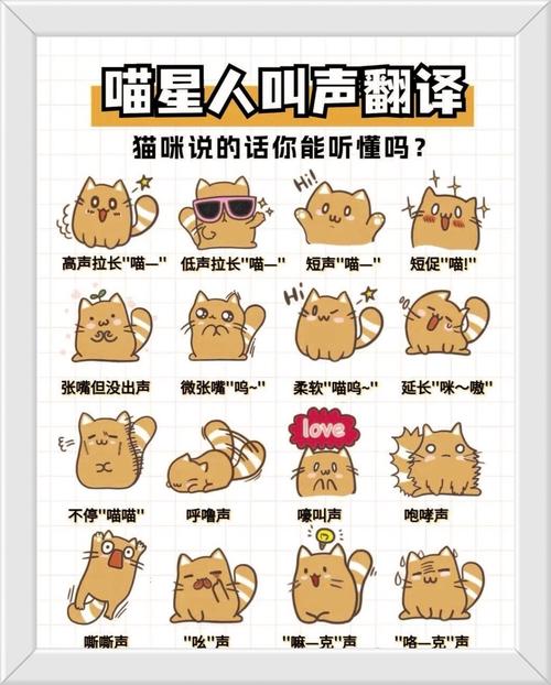 小猫的叫声。如何形容