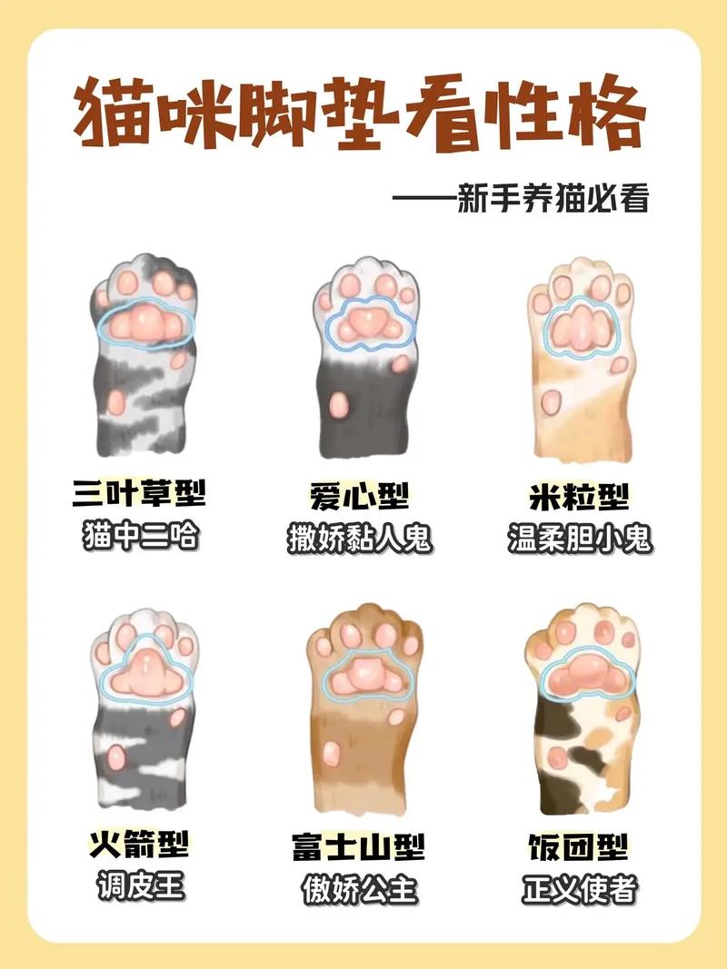 小猫咪到底要不要剪指甲?