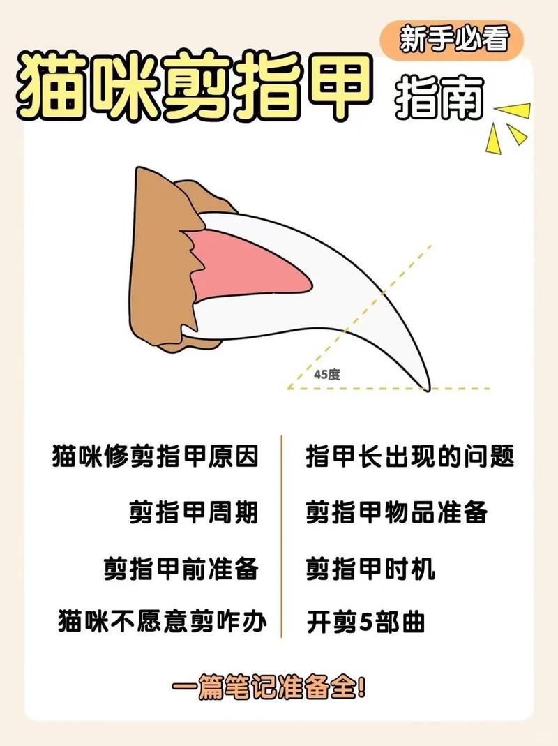 为什么不让猫咪剪指甲了