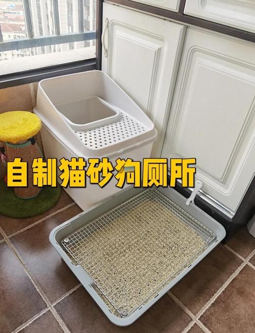 狗可以使用猫砂吗
