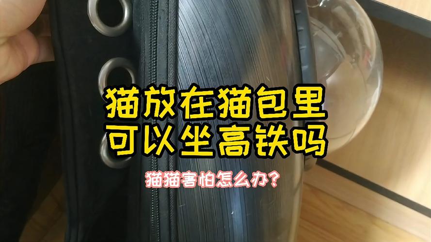 在搭乘地铁的情况下能把猫放在包里面吗