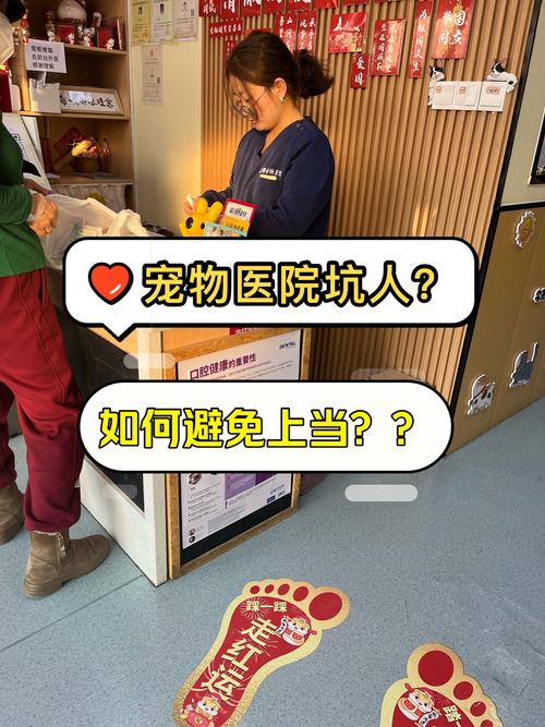 上海艾吉宠物医院连锁:铲屎官课堂,关于狗狗断甲这个事情