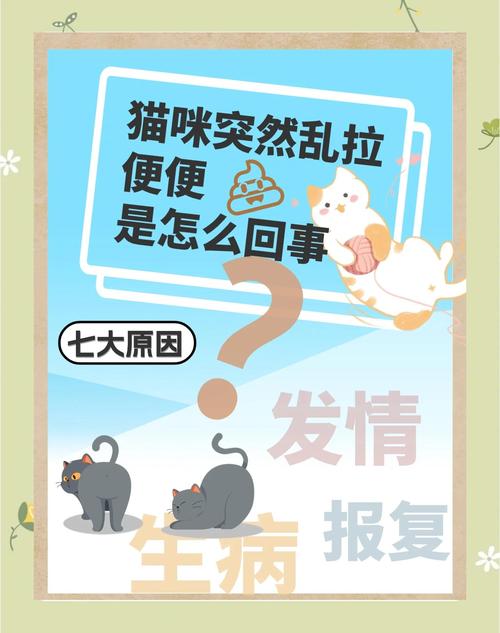 我家猫咪突然在家里乱拉屎,怎么回事?