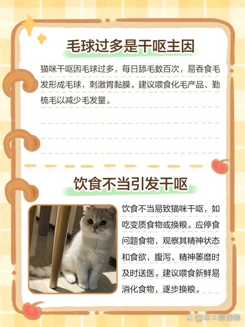 猫咪反胃但不吐