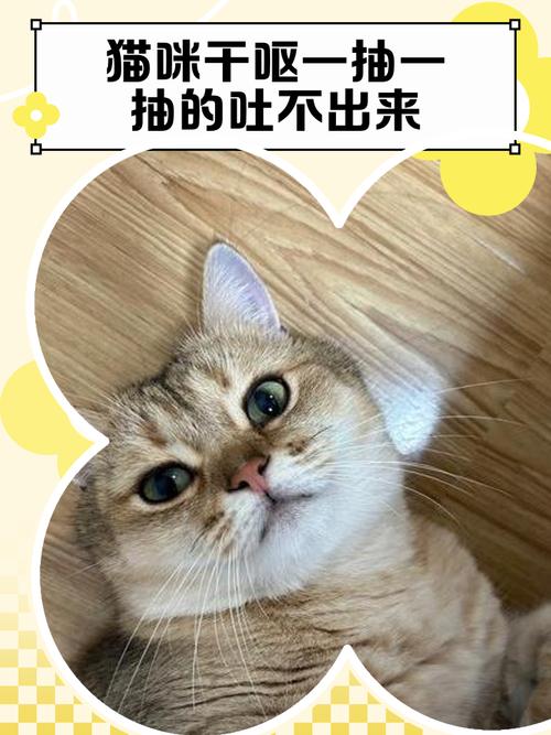 猫干呕不吐可能猫咪患上了毛球症