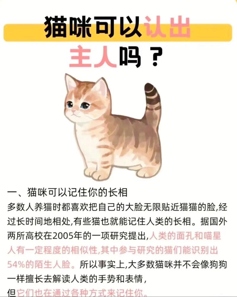 猫咪为什么是6个脚趾
