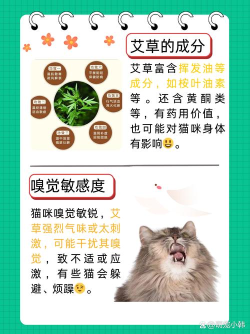 艾草的气味对于猫咪有没有影响?