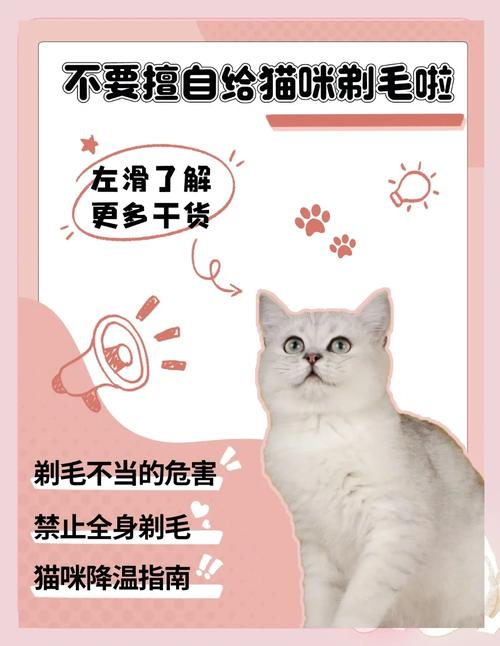 猫咪剃毛的好处和坏处有哪些