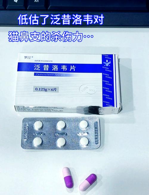 猫得黄疸病吃什么药