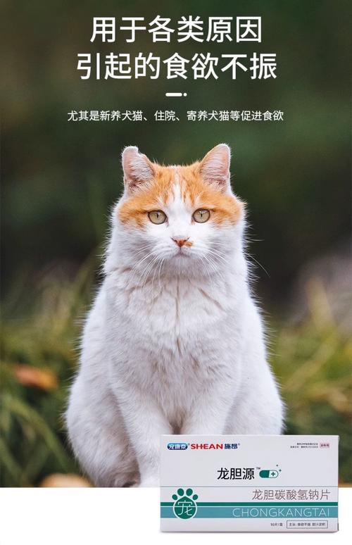 猫咪产后不吃东西,现在得了黄疸。要喂什么药,不要液态的,要药片的...