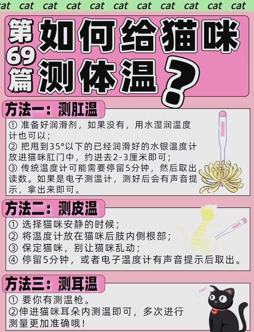 怎么给猫测体温