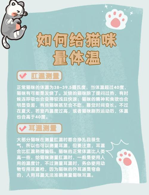 在家给猫量体温怎么量