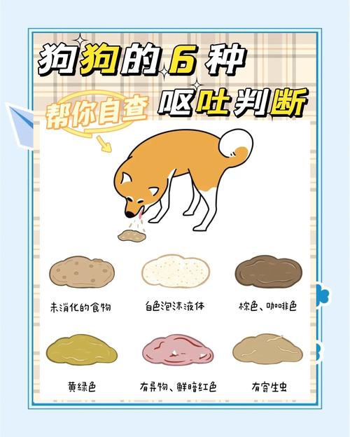 狗狗拉肚子,还吐,该给他吃什么?