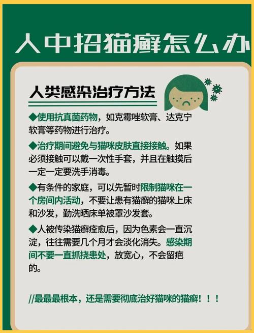 人感冒会传染猫吗