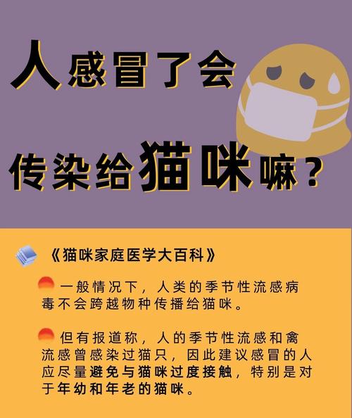 猫和人感冒互相传染么