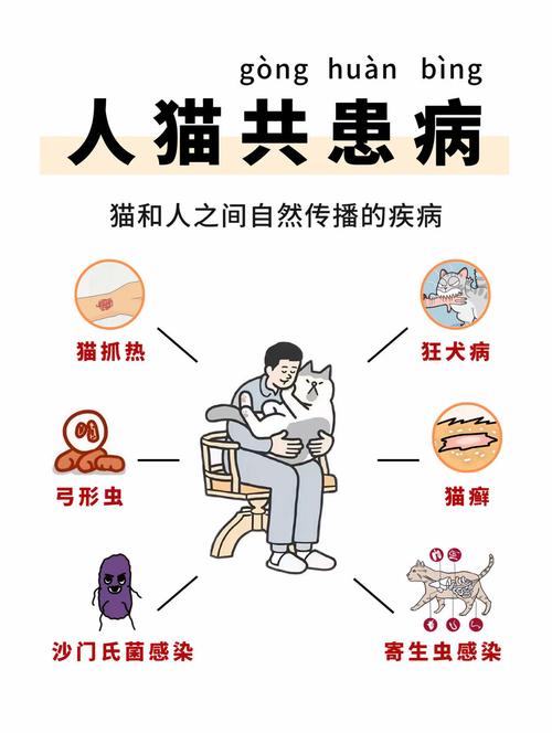 人感冒了会传染给宠物猫吗