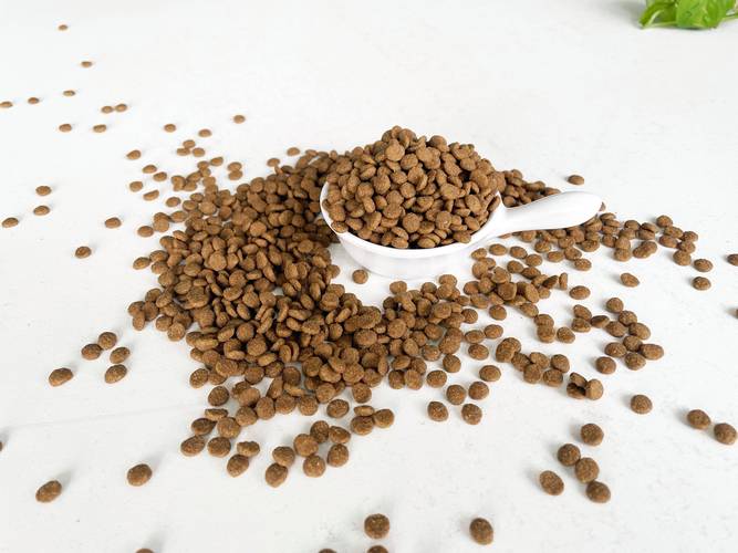 养狗真的不贵!2024平价狗粮推荐(含疯狂小狗/豆柴/汪爸爸/麦富迪狗粮测...