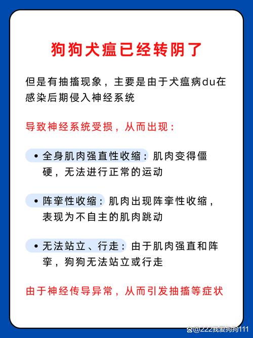 狗狗犬瘟后期,现在已经不抽搐了,但是频繁转圈,想知道它转圈是怎么?