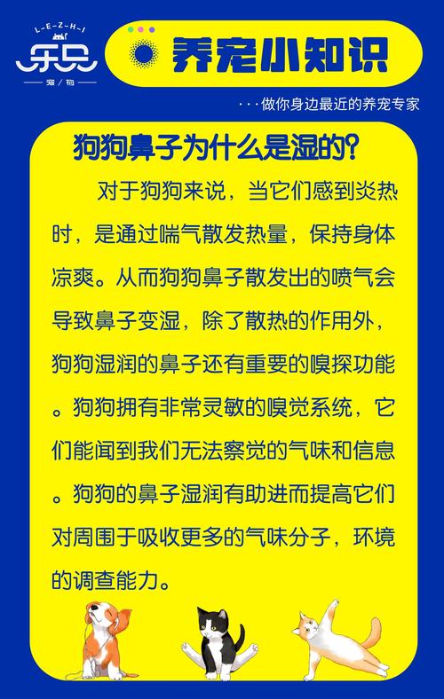 狗狗为什么鼻子里喷水了