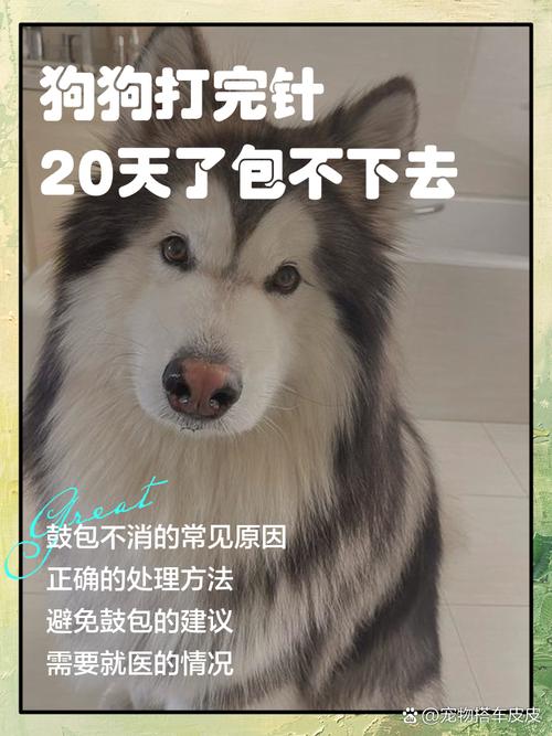 狗狗不打疫苗养不活吗