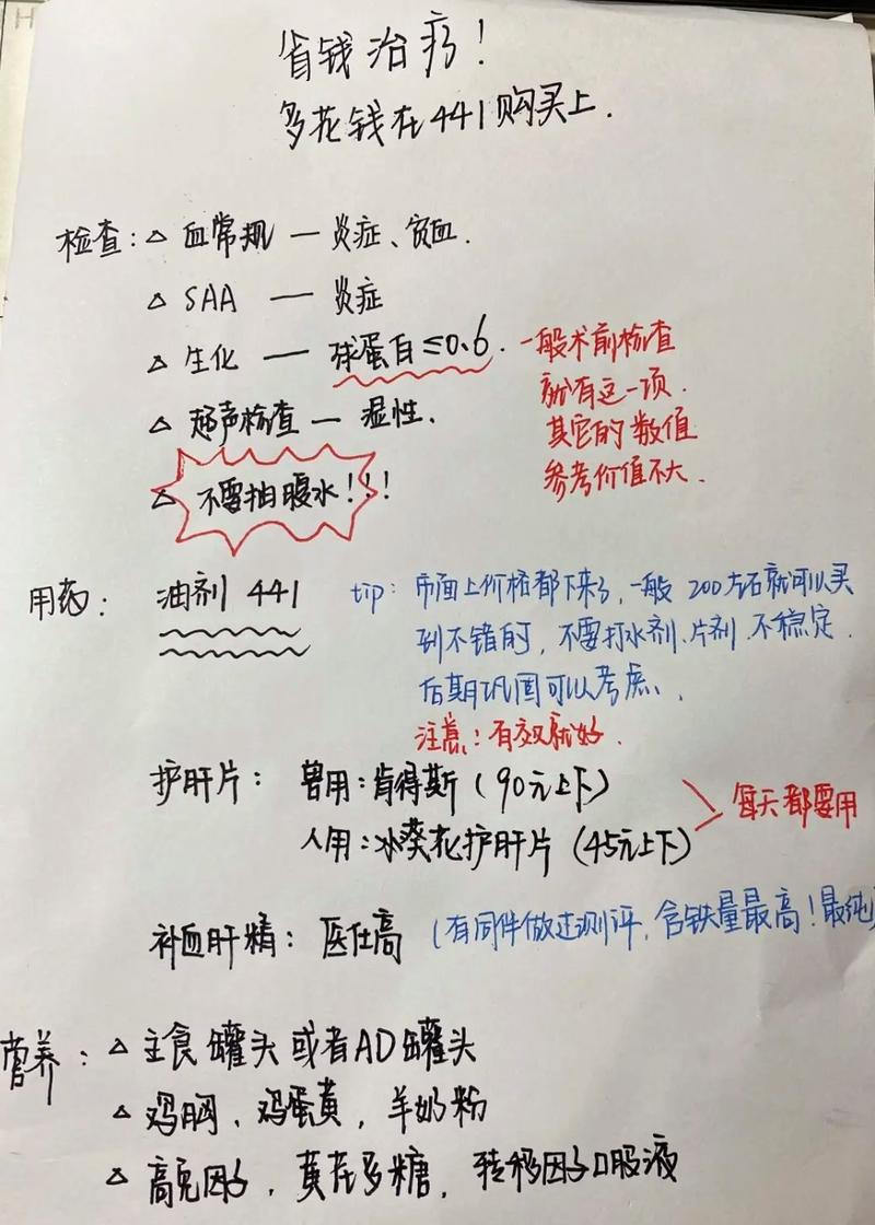 如何自己给猫咪治疗猫传腹?