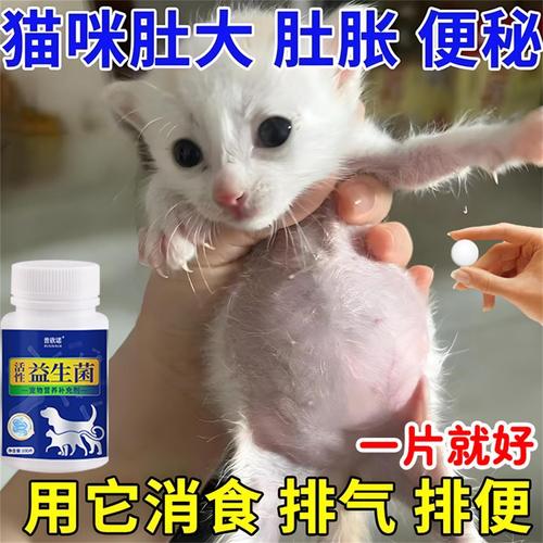 猫咪肚子胀气应该吃点什么药?
