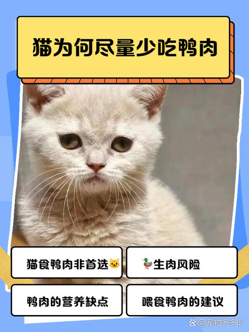 猫能不能吃鸡肉肉松