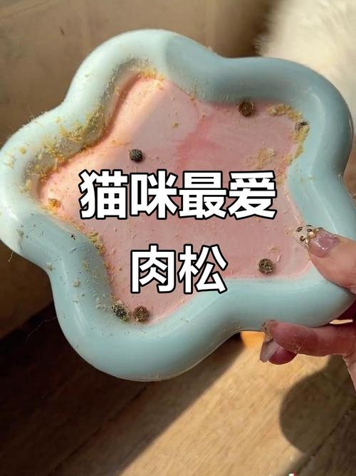 猫咪可以吃肉松吗