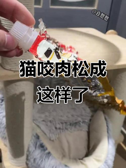 给猫咪吃肉松好么