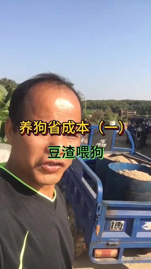 豆渣可以喂狗吗