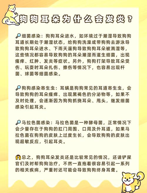 狗狗耳朵有很多脏东西还有点红是怎么回事?
