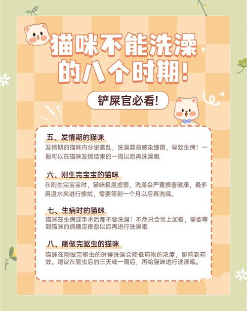 猫咪洗澡攻略Get|让猫咪不再惧怕洗澡