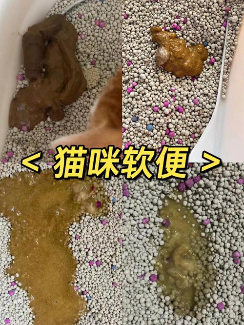 猫咪突然不活泼了但是能吃能喝大小便也挺好是怎么回事?
