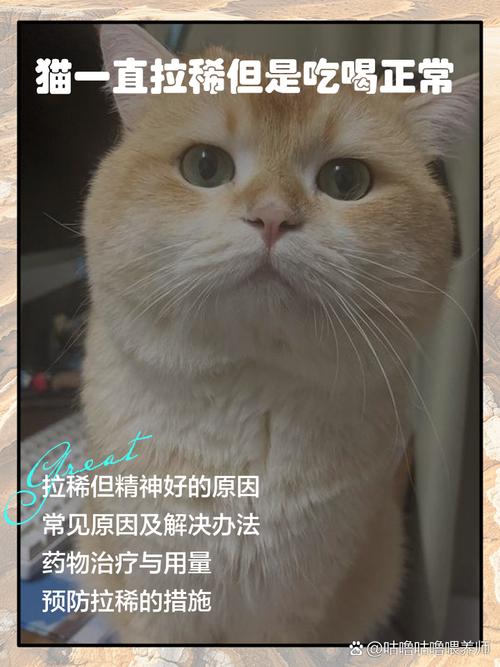 猫一直拉稀但是吃喝正常
