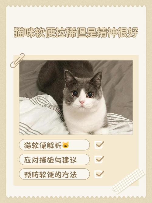 猫咪一直拉稀能吃能喝怎么办