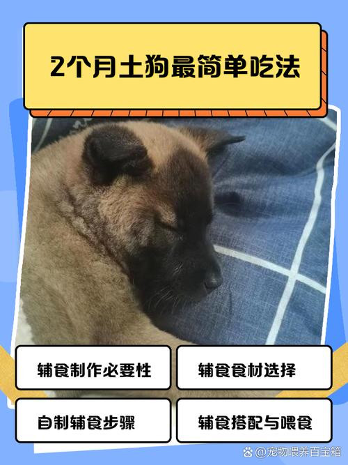 两个月狗狗吃什么