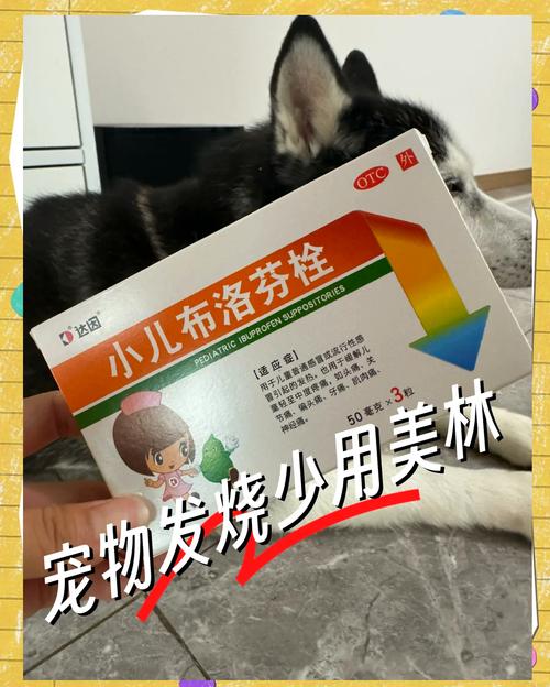 狗狗发烧吃什么药退烧效果好