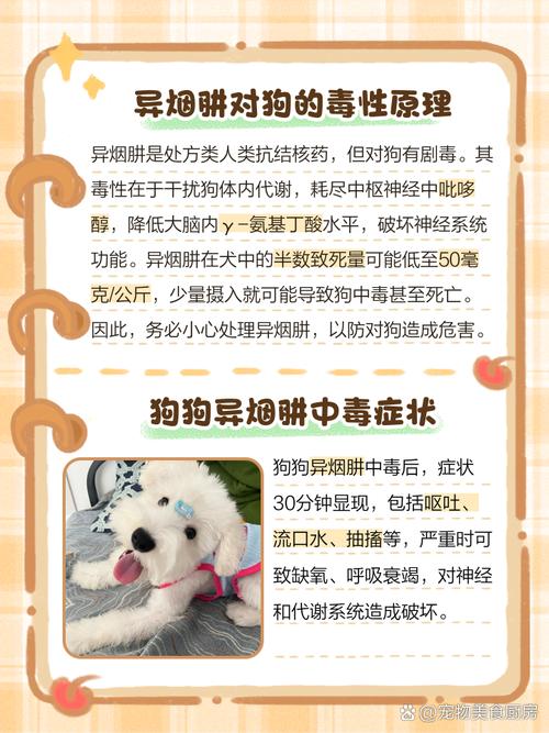 去除狗尿骚味,用这5招老偏方,太实用了