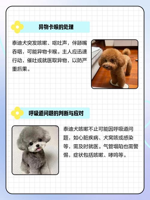 狗狗老是咳嗽怎么办