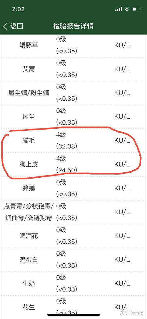 人对猫过敏是什么症状