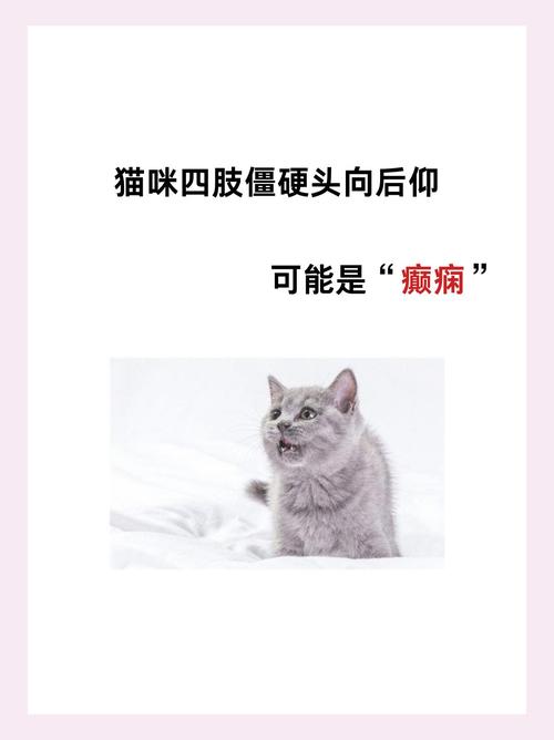 猫四肢僵硬头往后仰抽搐