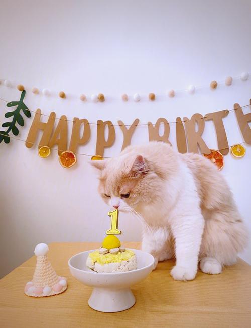 猫咪吃了一点点蛋糕没事吧?