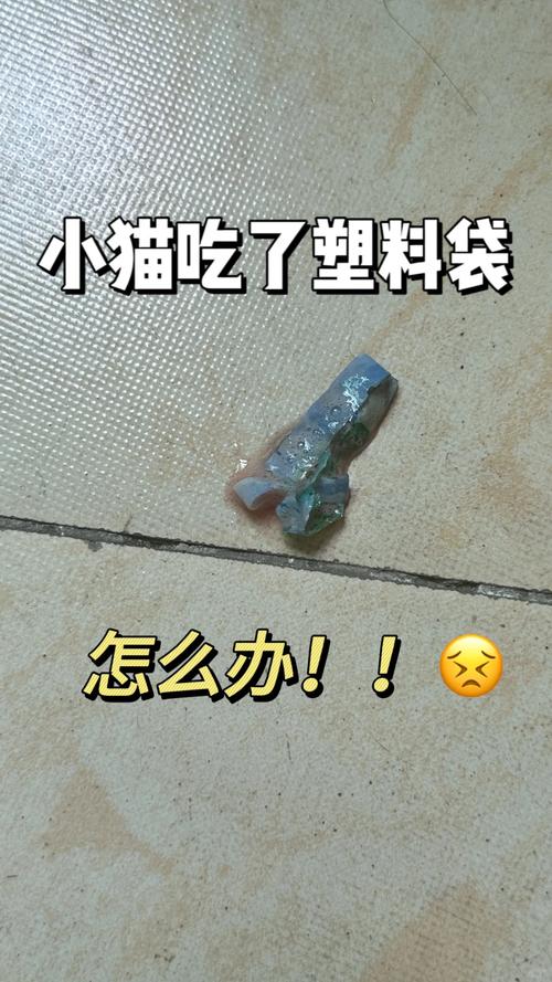 猫吃了塑料两天吃喝正常有事吗