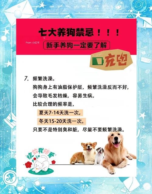 狗狗寄养,铲屎官没注意的细节