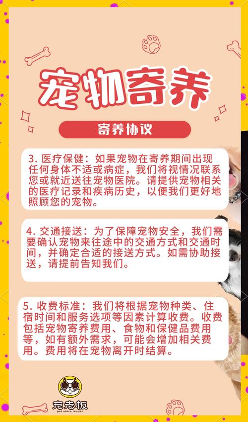 寄养宠物,需要注意这些事项