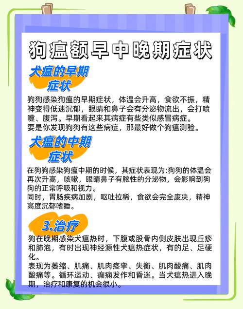 小狗得了犬瘟热会传染人吗?